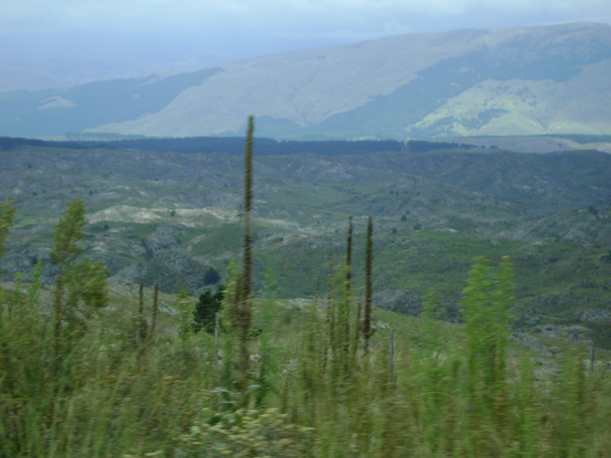 fotos/2011 - Los Reartes/DSC03438.JPG